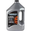 imageQuicksilver 20W50 Synthetic Motorcycle Oil 1 Quart1Gallon