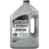imageQuicksilver by Mercury Marine 25W40 Marine Engine OilSynthetic blend